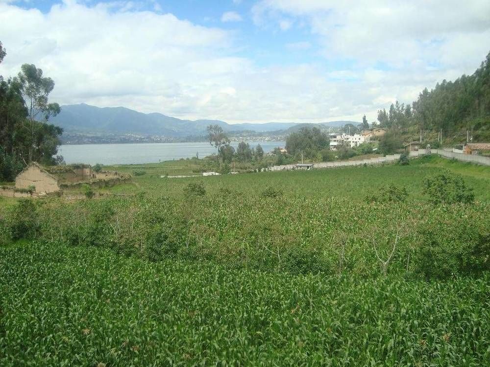 Casa De Luis Bed and Breakfast Otavalo Eksteriør billede